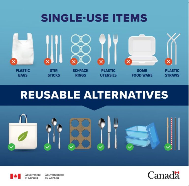 Canada bans some singleuse plastics Teaching Kids News