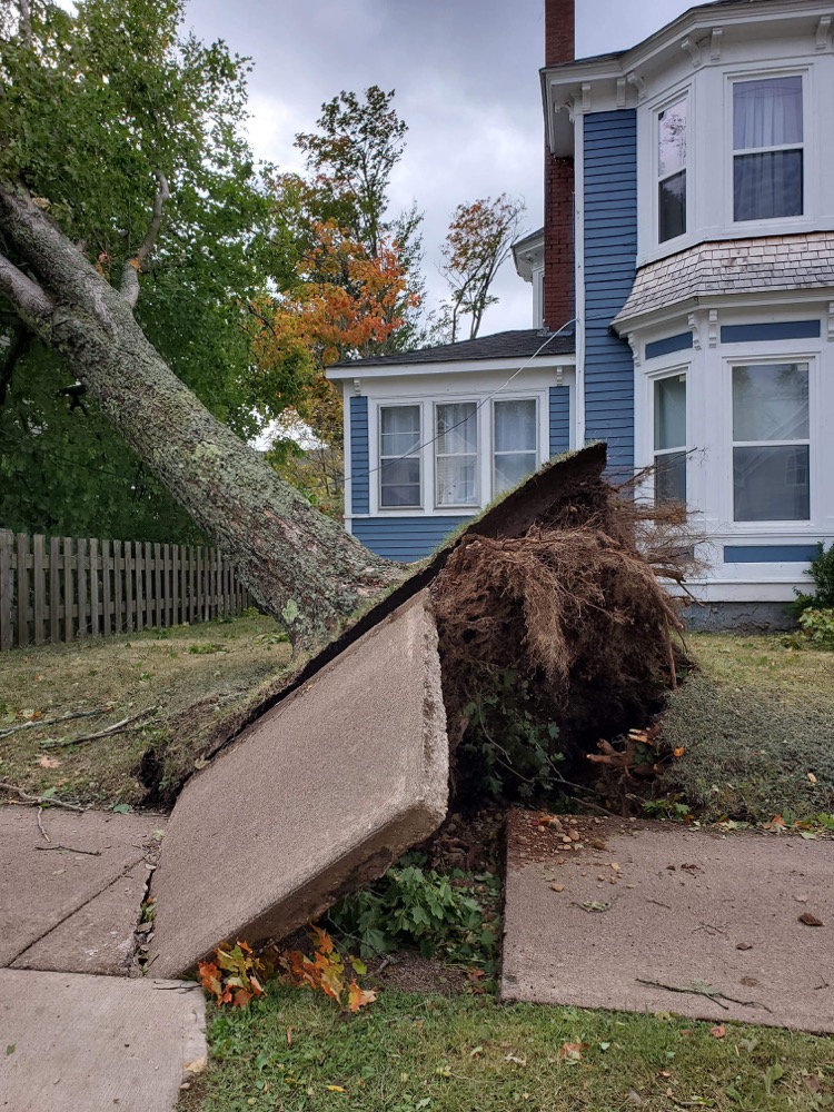 Eastern Canada looks to clean up as storm Fiona calms